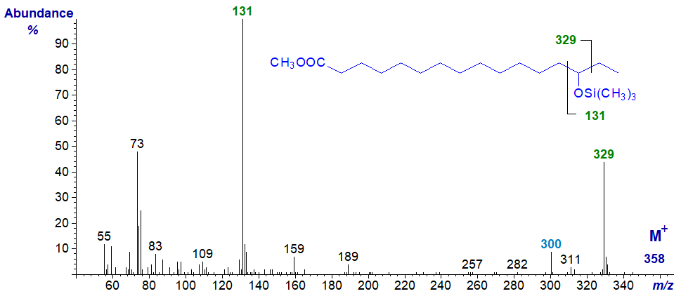 Figure 10. Mass spectrum of methyl 14-hydroxy-hexadecanoate - TMS ether derivative Mass spectrum of methyl 14-hydroxy-hexadecanoate - TMS ether derivative