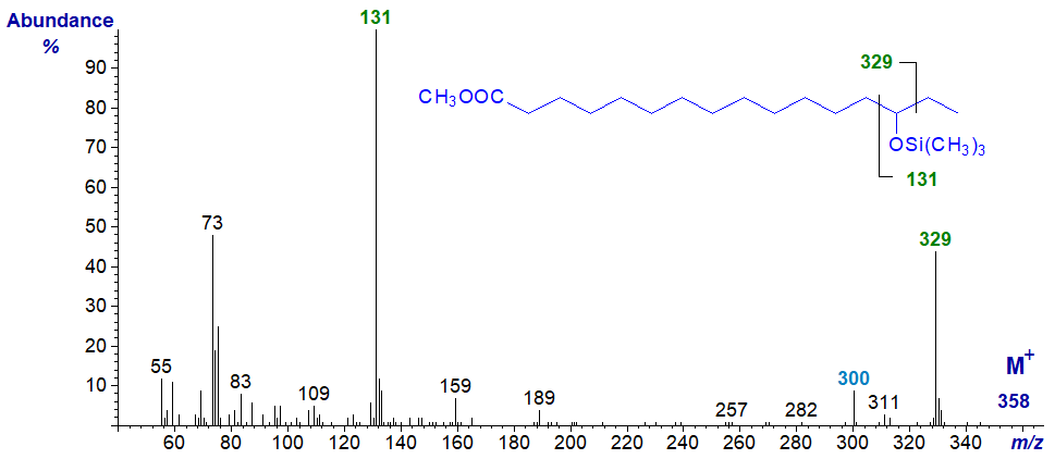 Mass spectrum of methyl 14-hydroxy-hexadecanoate - TMS ether derivative