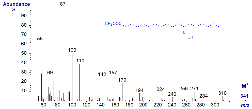 Mass spectrum of the oxime derivative of methyl 12-oxo-stearate
