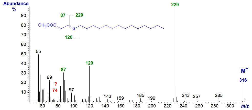 Mass spectrum of methyl 4-thia-stearate