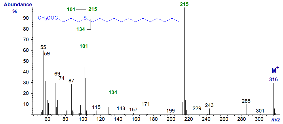 Mass spectrum of methyl 5-thia-stearate