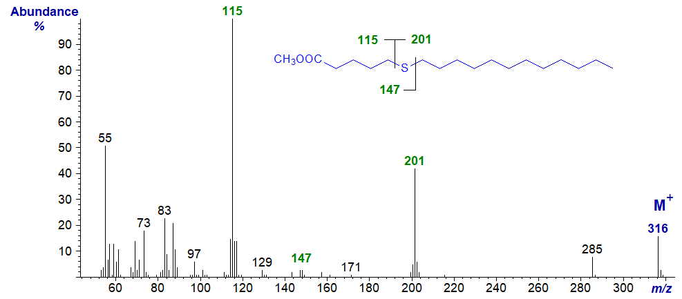 Mass spectrum of methyl 6-thia-stearate