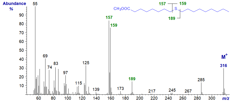 Figure 7. Mass spectrum of methyl 9-thia-stearate Mass spectrum of methyl 9-thia-stearate
