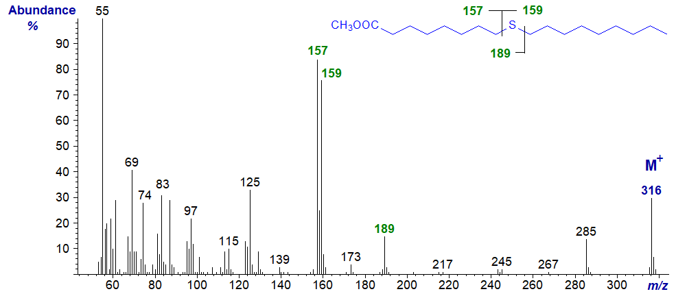 Mass spectrum of methyl 9-thia-stearate