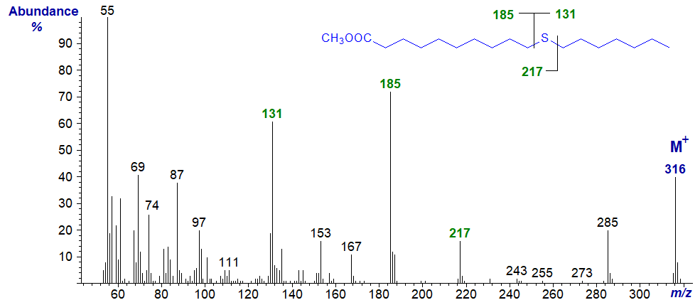 Mass spectrum of methyl 11-thia-stearate