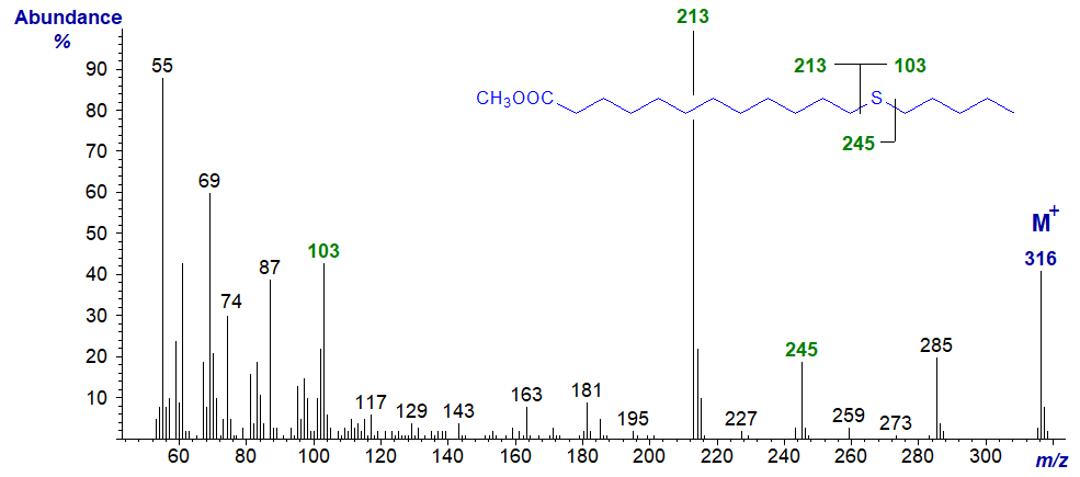 Figure 10. Mass spectrum of methyl 14-thia-stearate Mass spectrum of methyl 13-thia-stearate