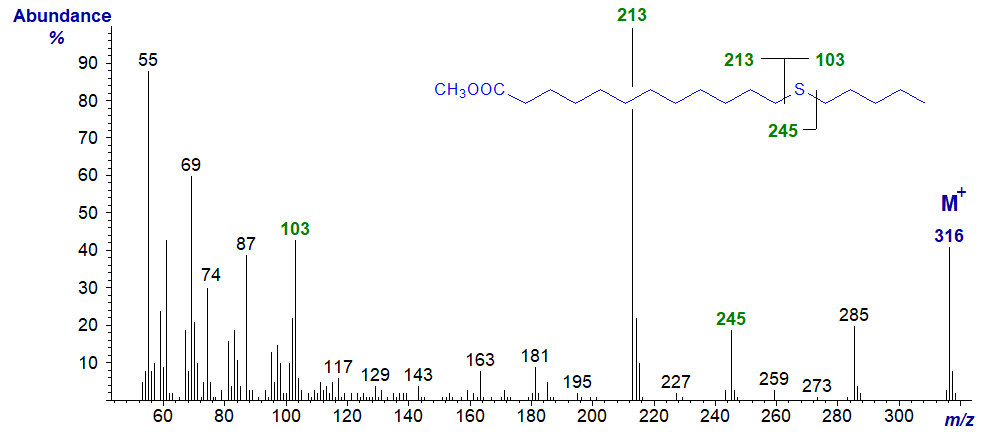 Mass spectrum of methyl 13-thia-stearate