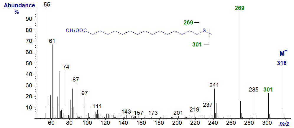 Figure 11. Mass spectrum of methyl 17-thia-stearate Mass spectrum of methyl 17-thia-stearate