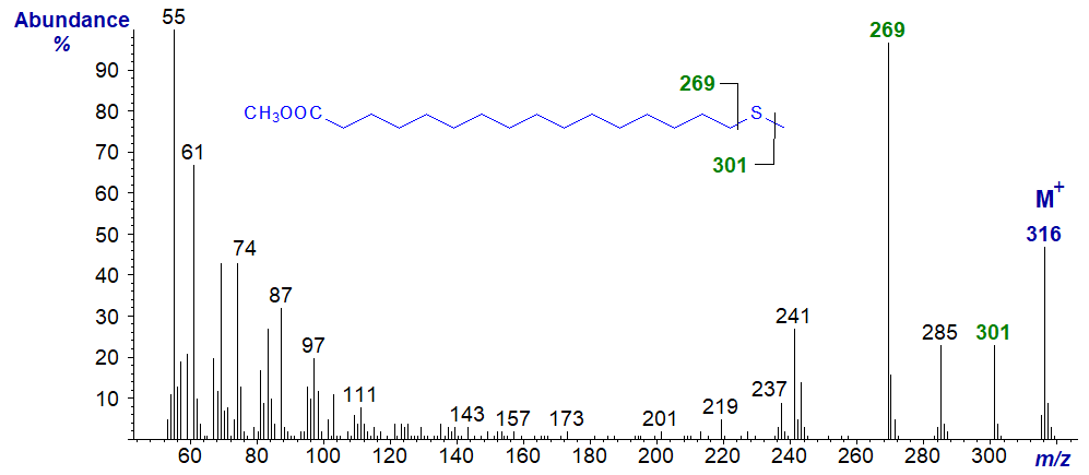 Mass spectrum of methyl 17-thia-stearate