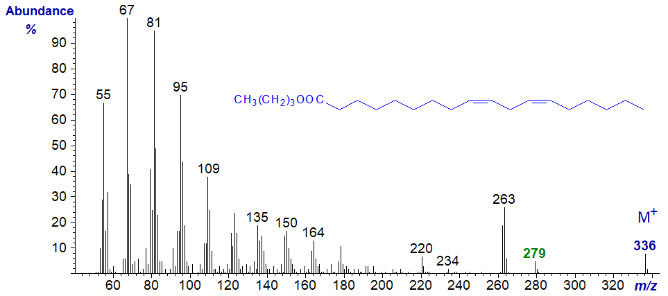 Mass spectrum of n-butyl 9,12-octadecadienoate