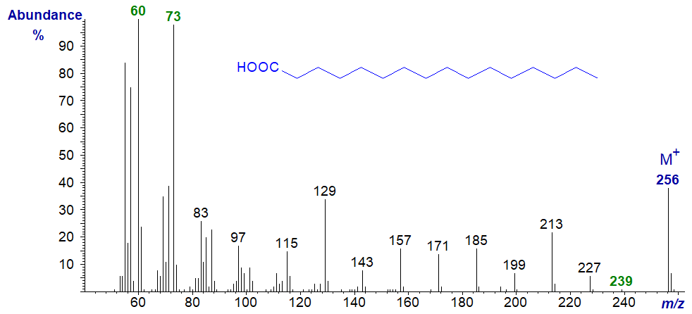 Mass spectrum of palmitic acid