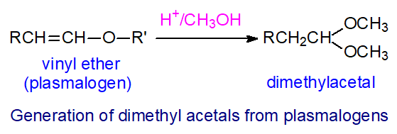 Generation of an dimethyl acetal from a plasmalogen