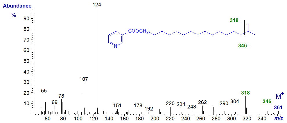 Mass spectrum of the nicotinate derivative of 15-methyl-hexadecanol