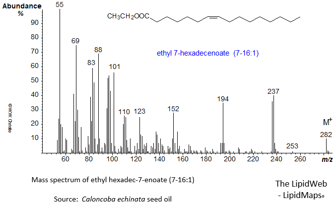 Mass spectrum of ethyl 7-hexadecenoate or 7-16:1