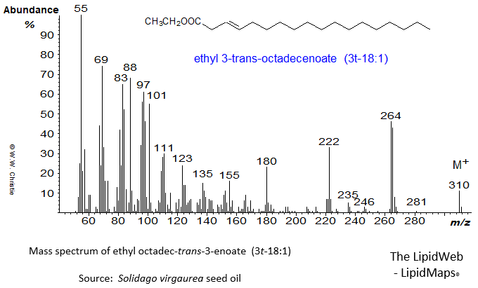 Mass spectrum of ethyl 3-trans-octadecenoate or 3t-18:1