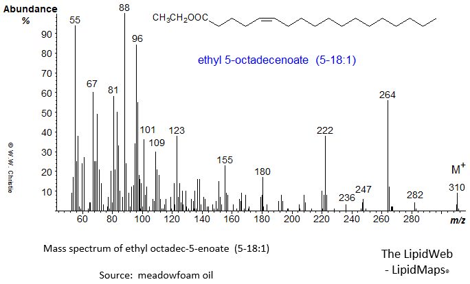 Mass spectrum of ethyl 5-octadecenoate or 5-18:1
