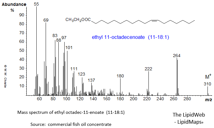 Mass spectrum of ethyl 11-octadecadienoate or 11-18:1 or cis-vaccenate