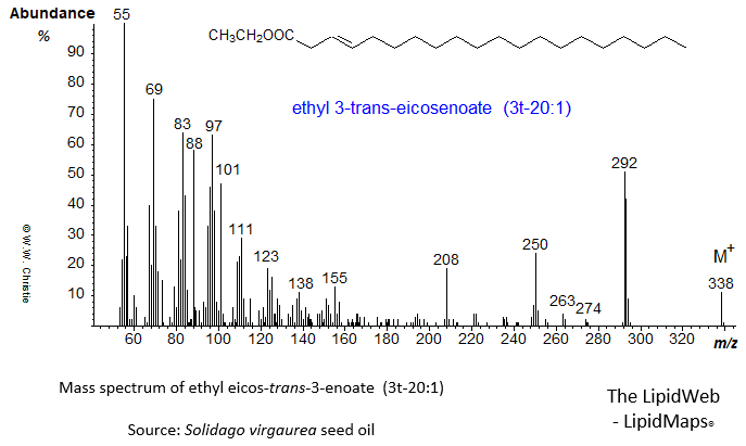 Mass spectrum of ethyl 3-trans-eicosenoate or 3t-20:1