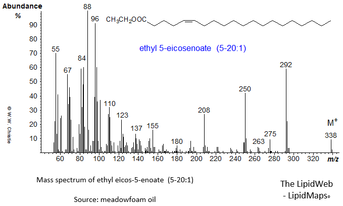 Mass spectrum of ethyl 5-eicosenoate or 5-20:1