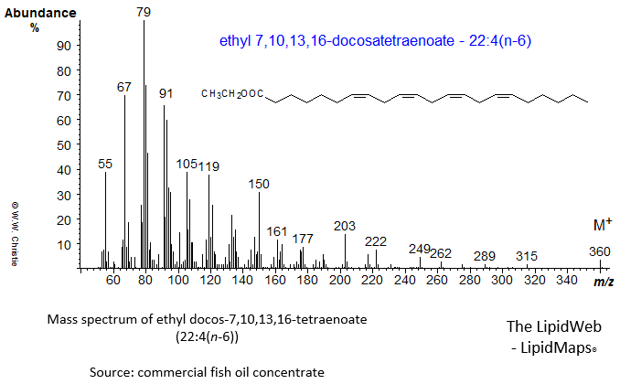 mass spectrum
