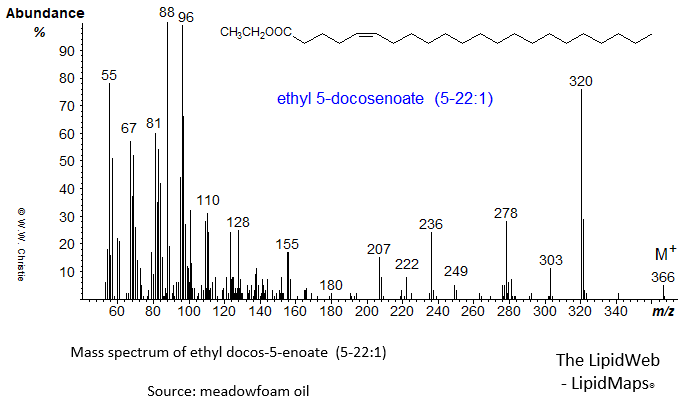 Mass spectrum of ethyl 5-docosenoate or 5-22:1