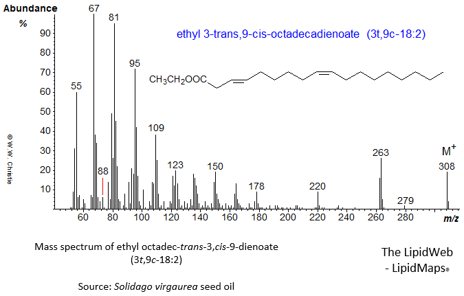 Mass spectrum of 3-trans,9-cis-octadecadienoate or 3t,9c-18:2