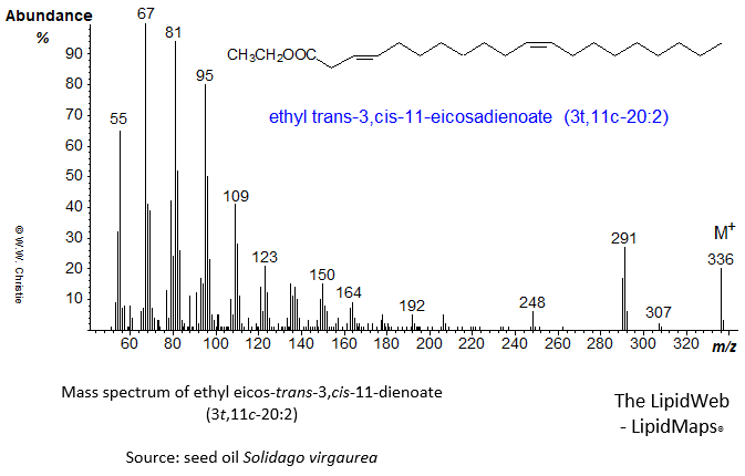 Mass spectrum of ethyl 3-trans,11-cis-eicosadienoate or 3t,11c-20:2