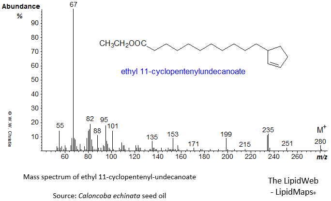 Mass spectrum of ethyl 11-cyclopentenylundecanoate or hydnocarpate