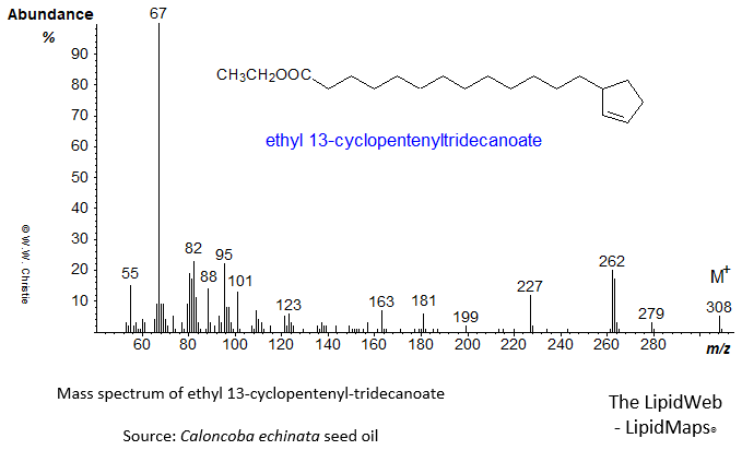 Mass spectrum of ethyl 13-cyclopentenyltridecanoate or chaulmoograte