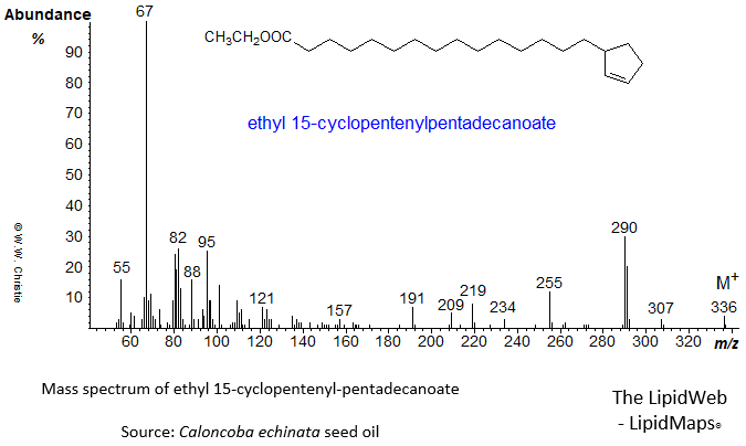 Mass spectrum of ethyl 15-cyclopentenylpentadecanoate