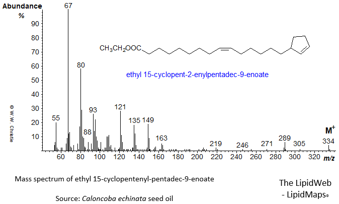 Mass spectrum of ethyl 15-cyclopent-2-enylpentadec-9-enoate or hormelate