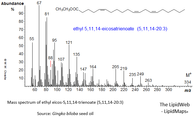 Mass spectrum of ethyl 5,11,14-eicosatrienoate or 5,11,14-20:3
