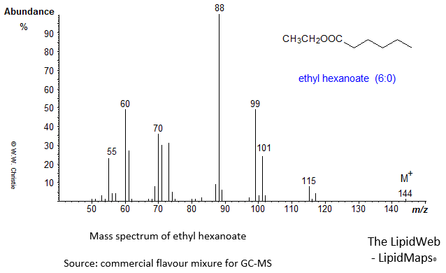 Mass spectrum of ethyl hexanoate (6:0)