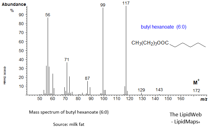 Mass spectrum of butyl hexanoate (6:0)