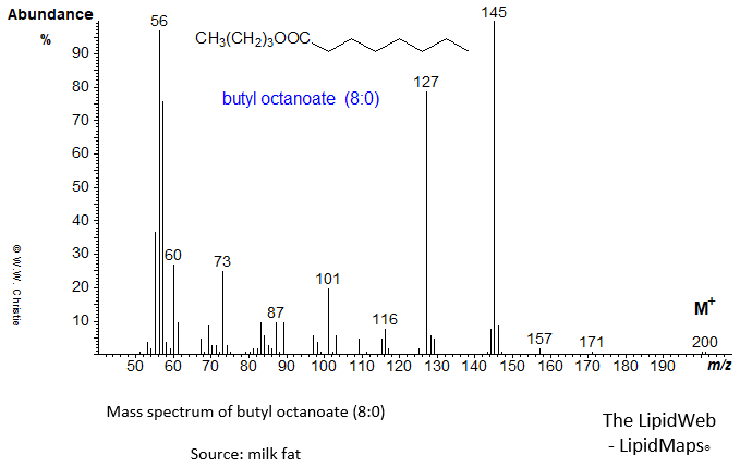 Mass spectrum of butyl hexanoate (6:0)