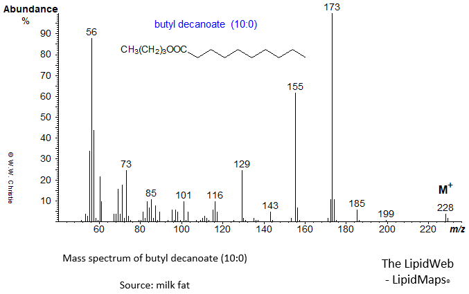 Mass spectrum of butyl decanoate (10:0)