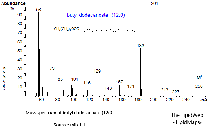 Mass spectrum of butyl dodecanoate (12:0 or laurate)