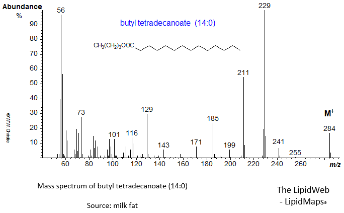 Mass spectrum of butyl tetradecanoate (14:0 or myristate)