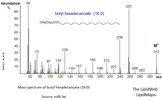 Mass spectrum of butyl hexadecanoate (16:0 or palmitate)