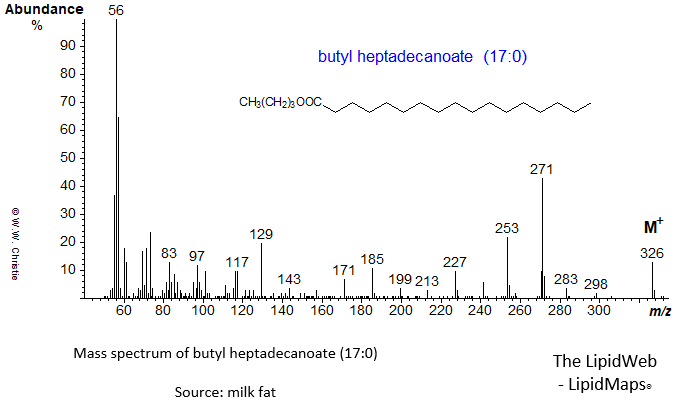 Mass spectrum of butyl heptadecanoate (17:0)
