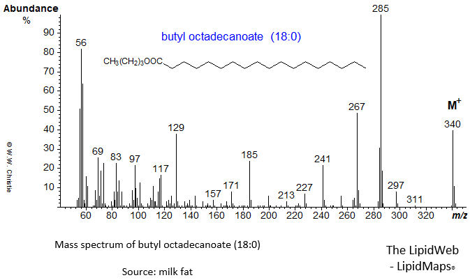 Mass spectrum of butyl octadecanoate (18:0 or stearate)