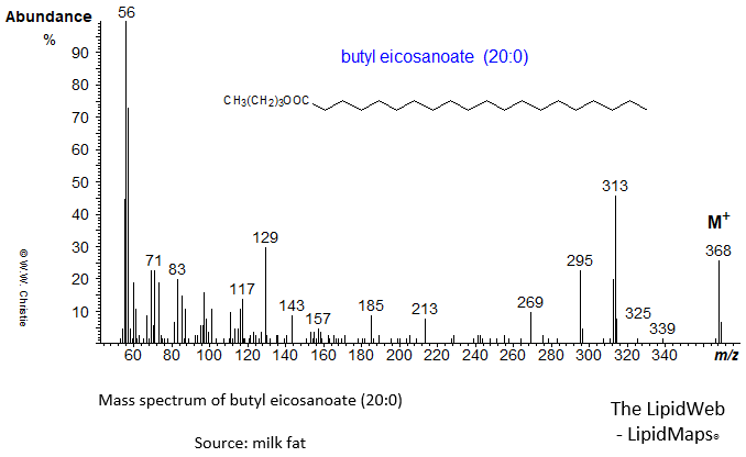 Mass spectrum of butyl eicosanoate (20:0)