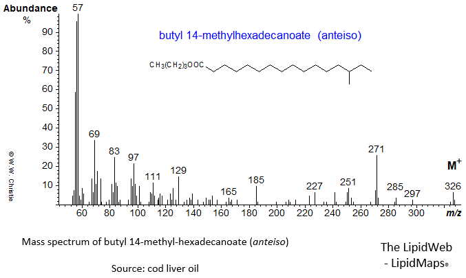 Mass spectrum of butyl 14-methylhexadecanoate (anteiso)