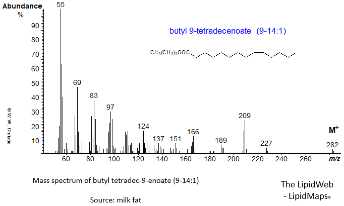 Mass spectrum of butyl 9-tetradecenoate (9-14:1)