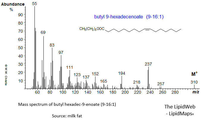 Mass spectrum of butyl 9-hexadecenoate (9-16:1 or palmitoleate)