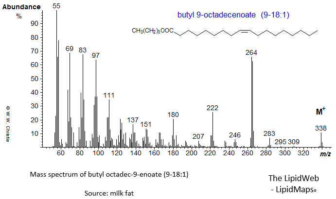 Mass spectrum of butyl 9-octadecenoate (9-18:1 or oleate)