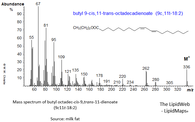 Mass spectrum of butyl 9c,11t-octadecadienoate
