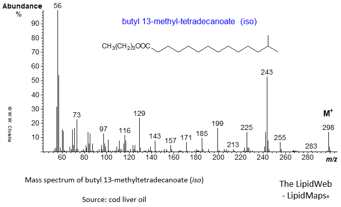 Mass spectrum of butyl 13-methyltetradecanoate (iso)