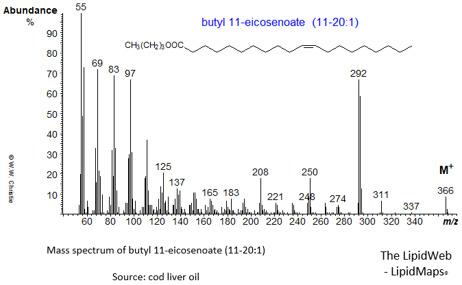 Mass spectrum of butyl 11-eicosenoate (11-20:1)