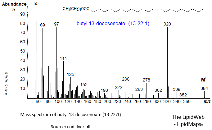 Mass spectrum of butyl 13-docosenoate (13-22:1 or erucate)